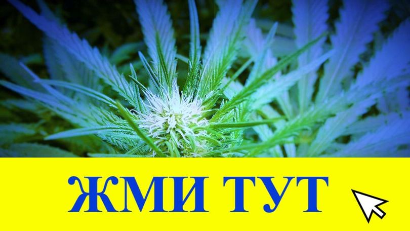 Купить наркотики в Таштаголе