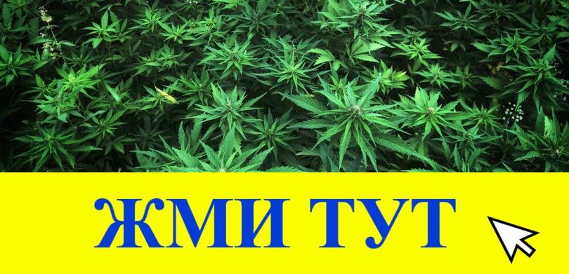 Купить наркотики в Таштаголе